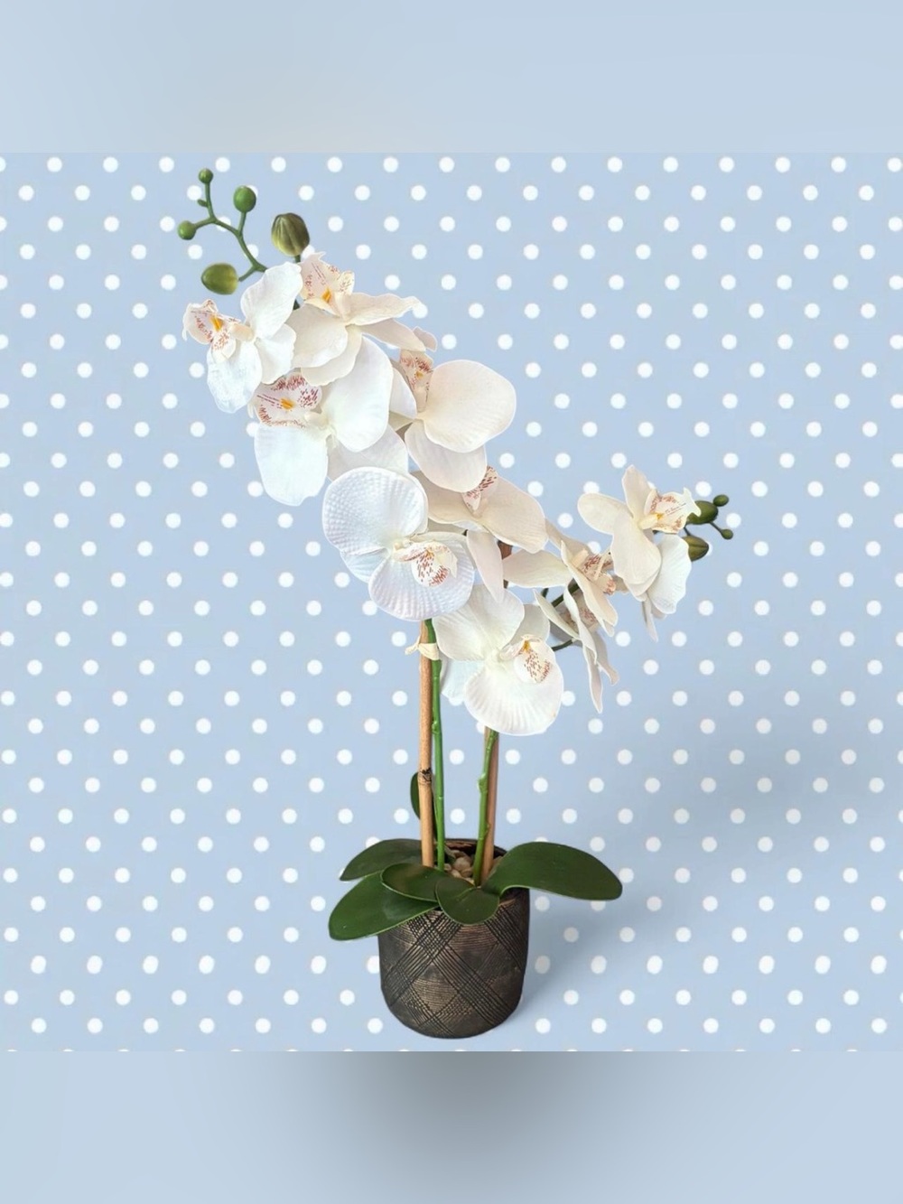 White artificial orchird plant